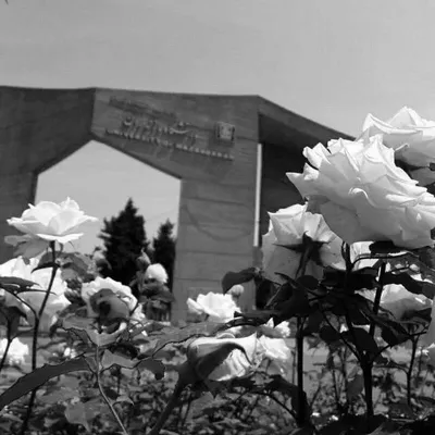 دانشگاه مازندران UMZ profile