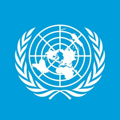 United Nations profile