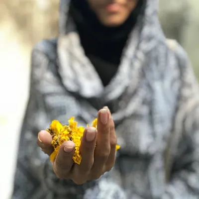 Marzia Ali profile