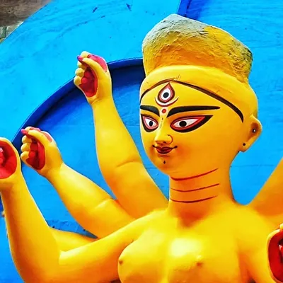 Sayani Pal profile