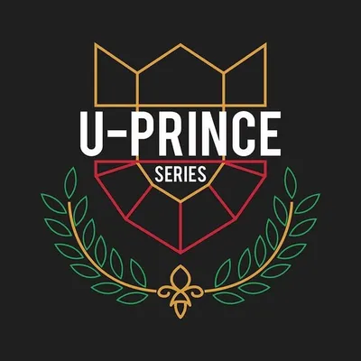 U-Prince Series profile