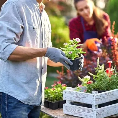 ๐ค๐ป๐ซ๐ช๐ท ๐๐ช๐ป๐ญ๐ฎ๐ท๐ฒ๐ท๐ฐ | Free Garden Consultant profile