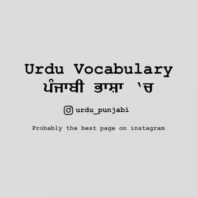 ਉਰਦੂ ਪੰਜਾਬੀ ਸ਼ਬਦ-ਅਰਥ profile