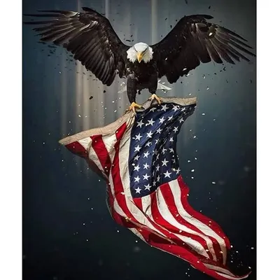 USA सरपंच देश profile