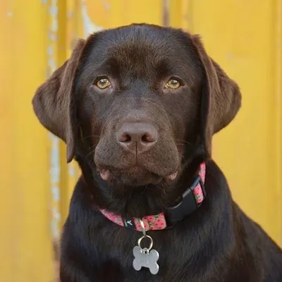 Utah & Walter profile