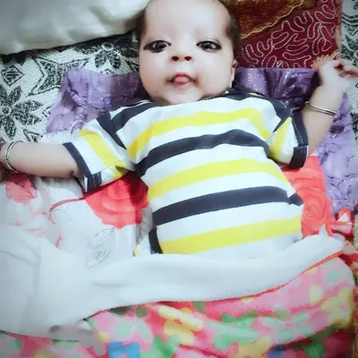 utkarsh pal profile