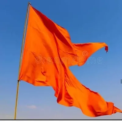 🚩उत्तिष्ठ हिन्दू राष्ट्र 🚩 profile