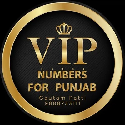 Vip Numbers For Punjab profile