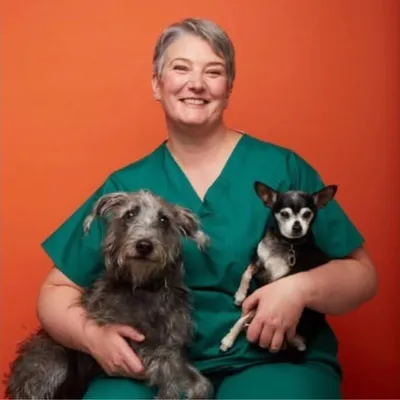 Vets For Pets Harrogate profile