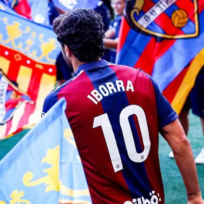 Vicente Iborra profile