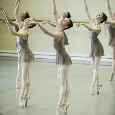 ๐ซ Vaganova Ballet Academy ๐ซ profile