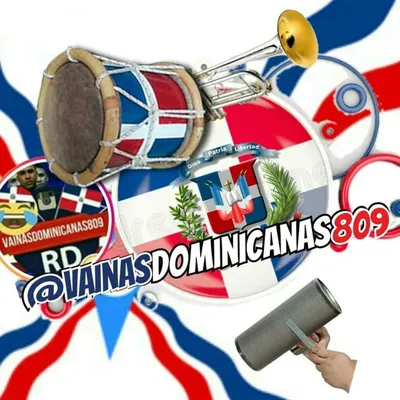 vainasdominicanas809 profile