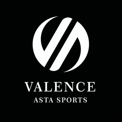 Valence Asta Sports | Premium English Willow Bats profile