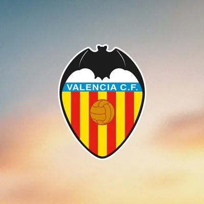 Valencia CF ๐ฆ๐ฏ profile