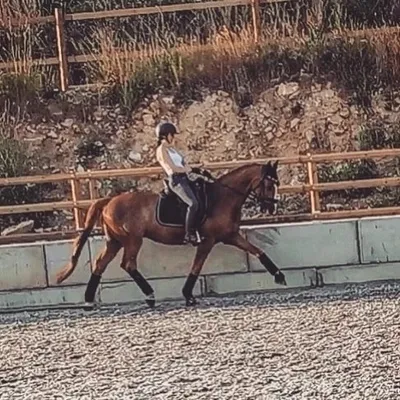 Valle und Steffi profile
