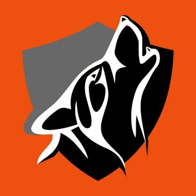 VALLEJO RACING 🐺 Cursos de conducción deportiva y copilotaje profile