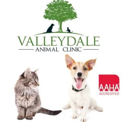 Valleydale Animal Clinic profile