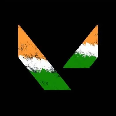 valorant esports India profile