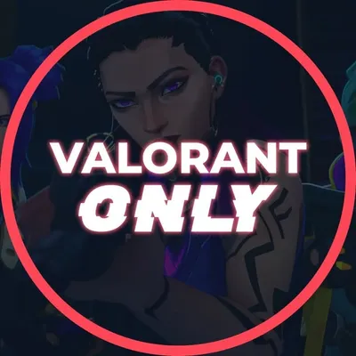 Valorant News profile
