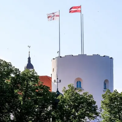 Rīgas pils profile