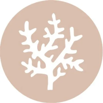 ๐ Ocean inspired jewellery profile