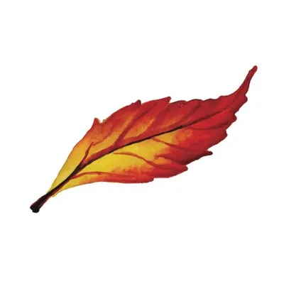VanEarth profile