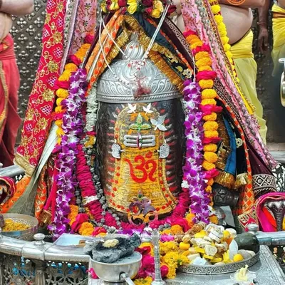 vasu profile
