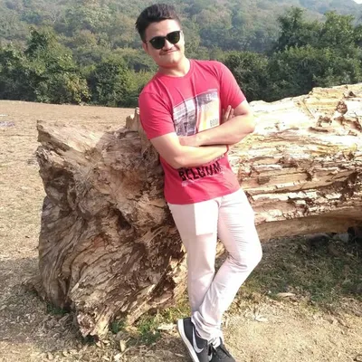 vishvjeetsinh chauhan profile
