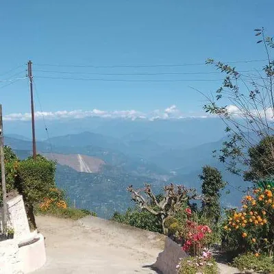 Travel Diaries profile
