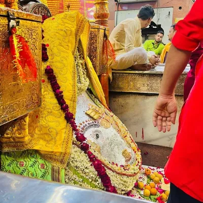 Veer gurjar profile