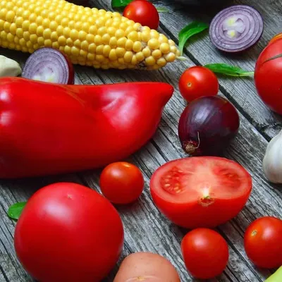 Veganvocabulary profile
