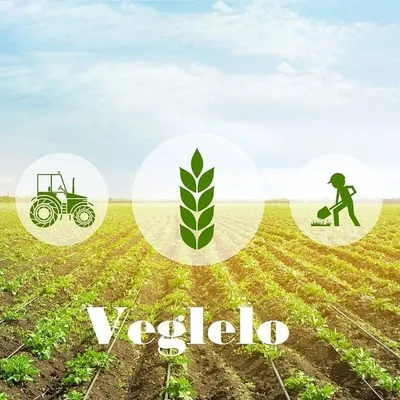 Veglelo profile