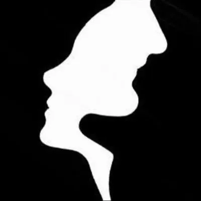 VENERA profile