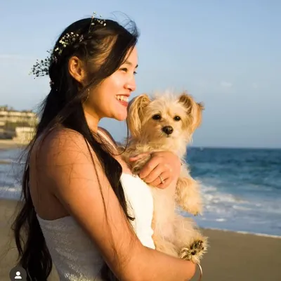 Kathryn | Dog Training & Rescue profile