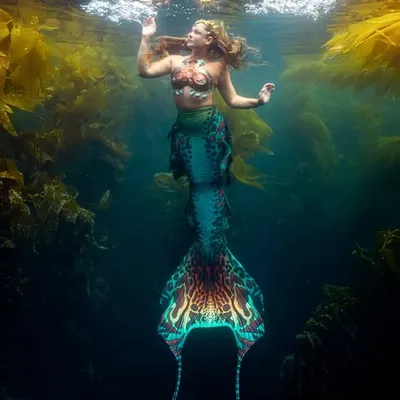 Vero Beach Mermaid profile