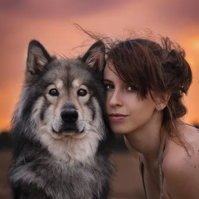 Nicole & Milo | Petfluencer & UGC profile