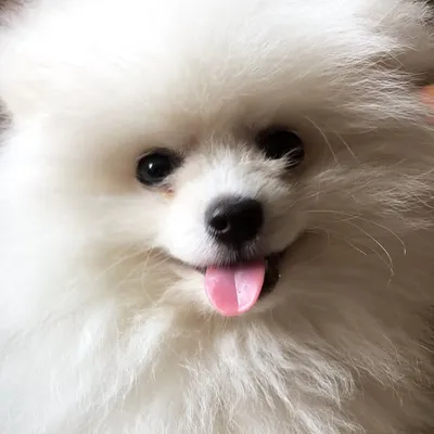 JERRY🍑 profile