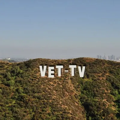 VET Tv ๐บ๐ฒ Military Streaming profile