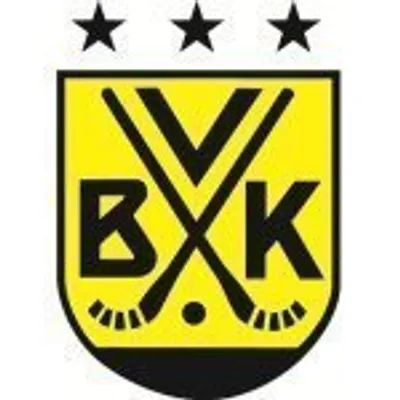 Vetlanda Bandyklubb profile
