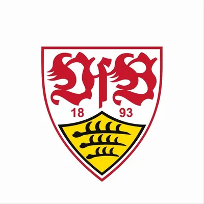 VfB Stuttgart 1893 profile