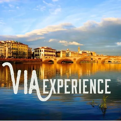 ViaExperience profile