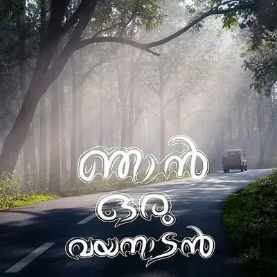 VIBES OF WAYANAD profile