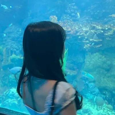 Victoria Carvalho profile