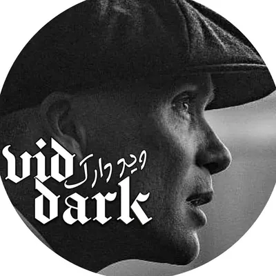 Vid Dark | وید دارک profile