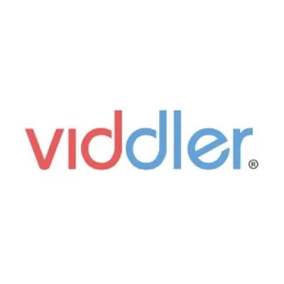 Viddler Inc. profile