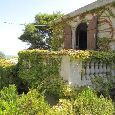 Vieste Sudvilla profile