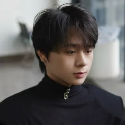 Việt Mỹ profile