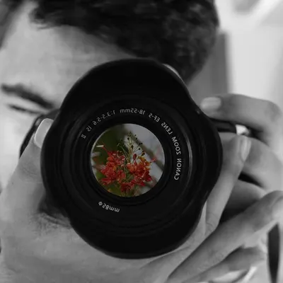 view_from_the_other_side📷 profile