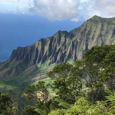 View Kauai profile