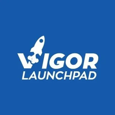 Vigor LaunchPad profile